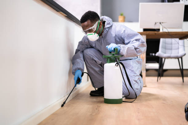 Best Residential Pest Control  in Washington, NJ